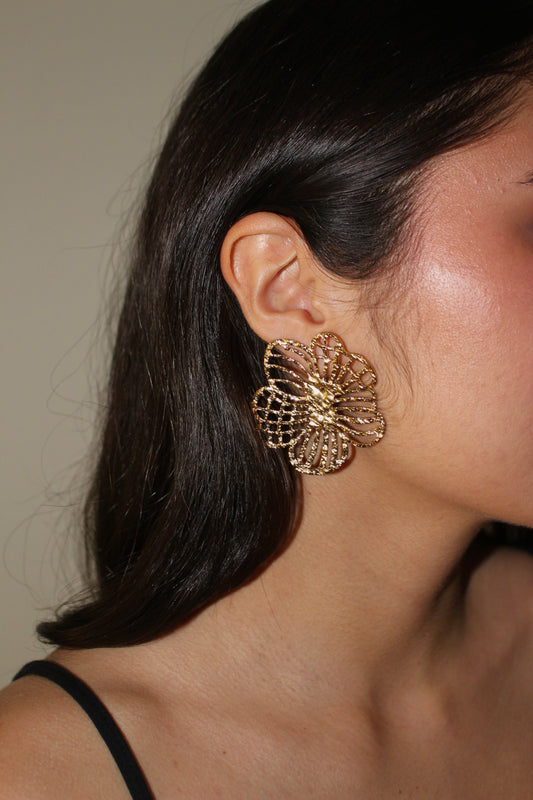 Aretes Loto