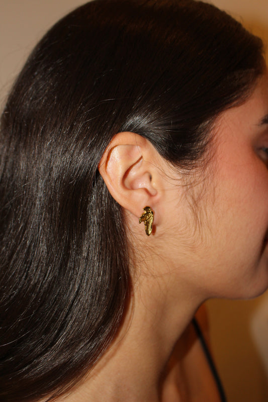 Aretes Alas