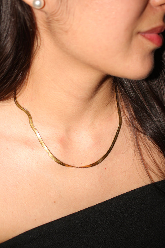 Collar Snake