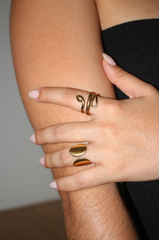 Anillo Conchitas