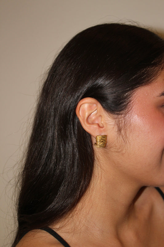 Aretes Exclusivos
