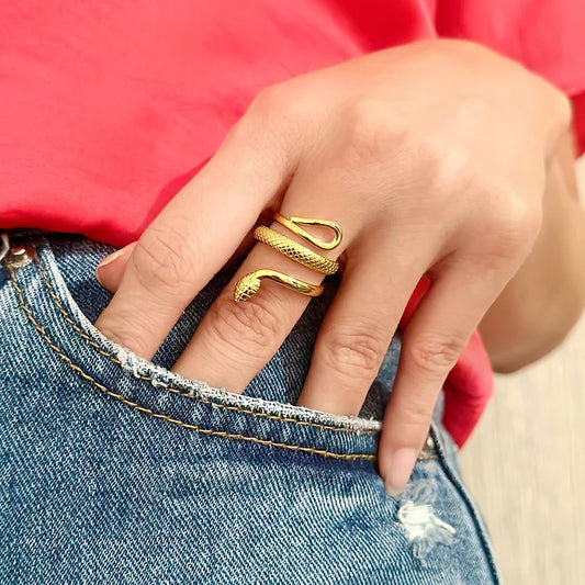 Anillo Snake