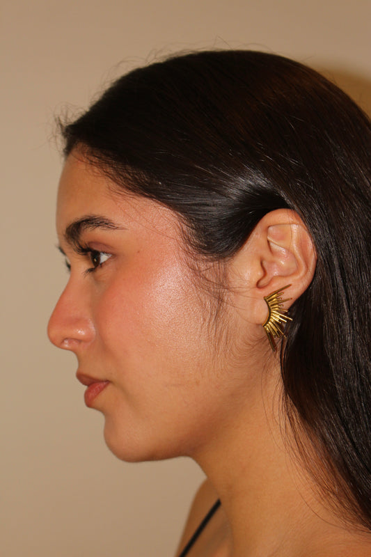 Aretes Alas Bohemio